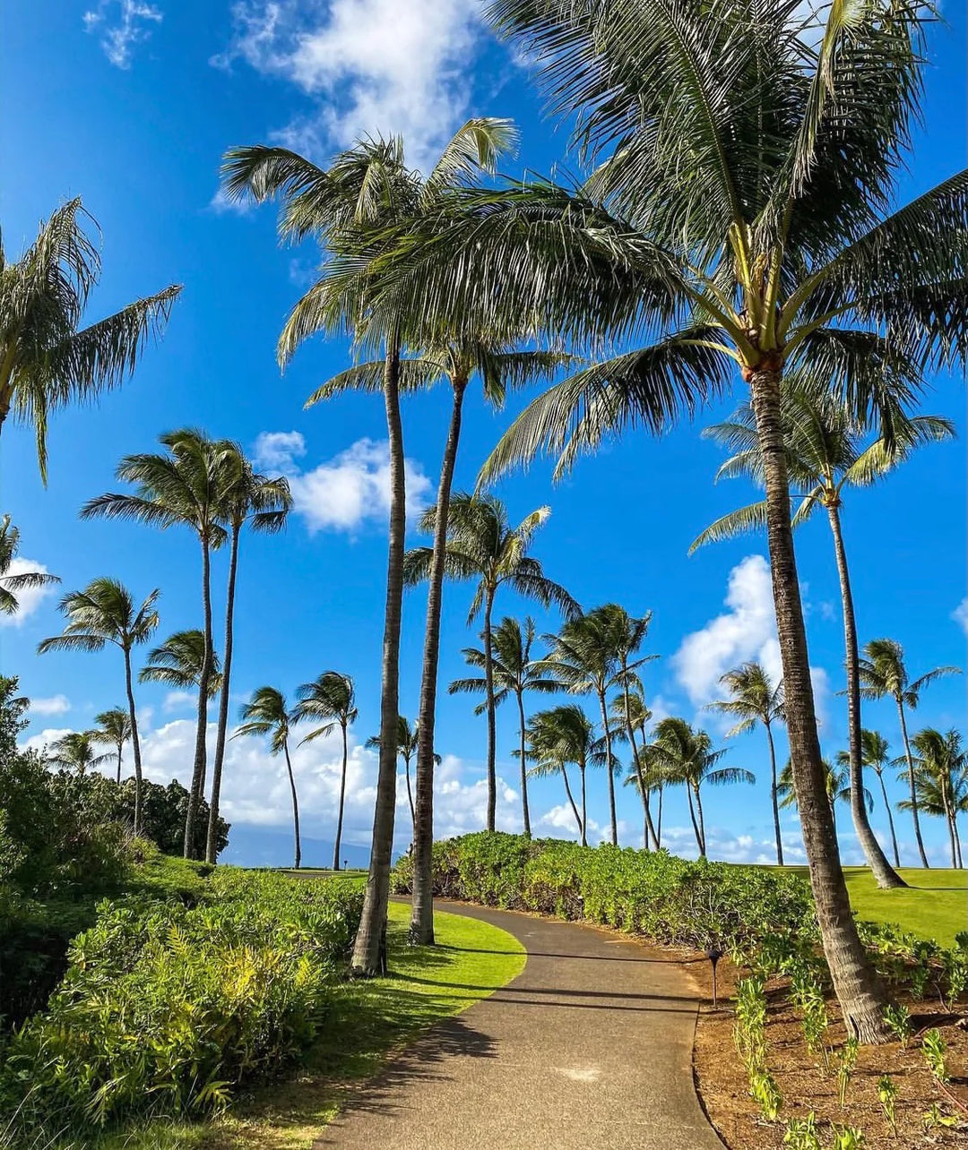 Summertime Travel...Are you in?