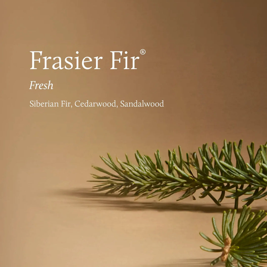 Frasier Fir Tidings Candle 13oz.