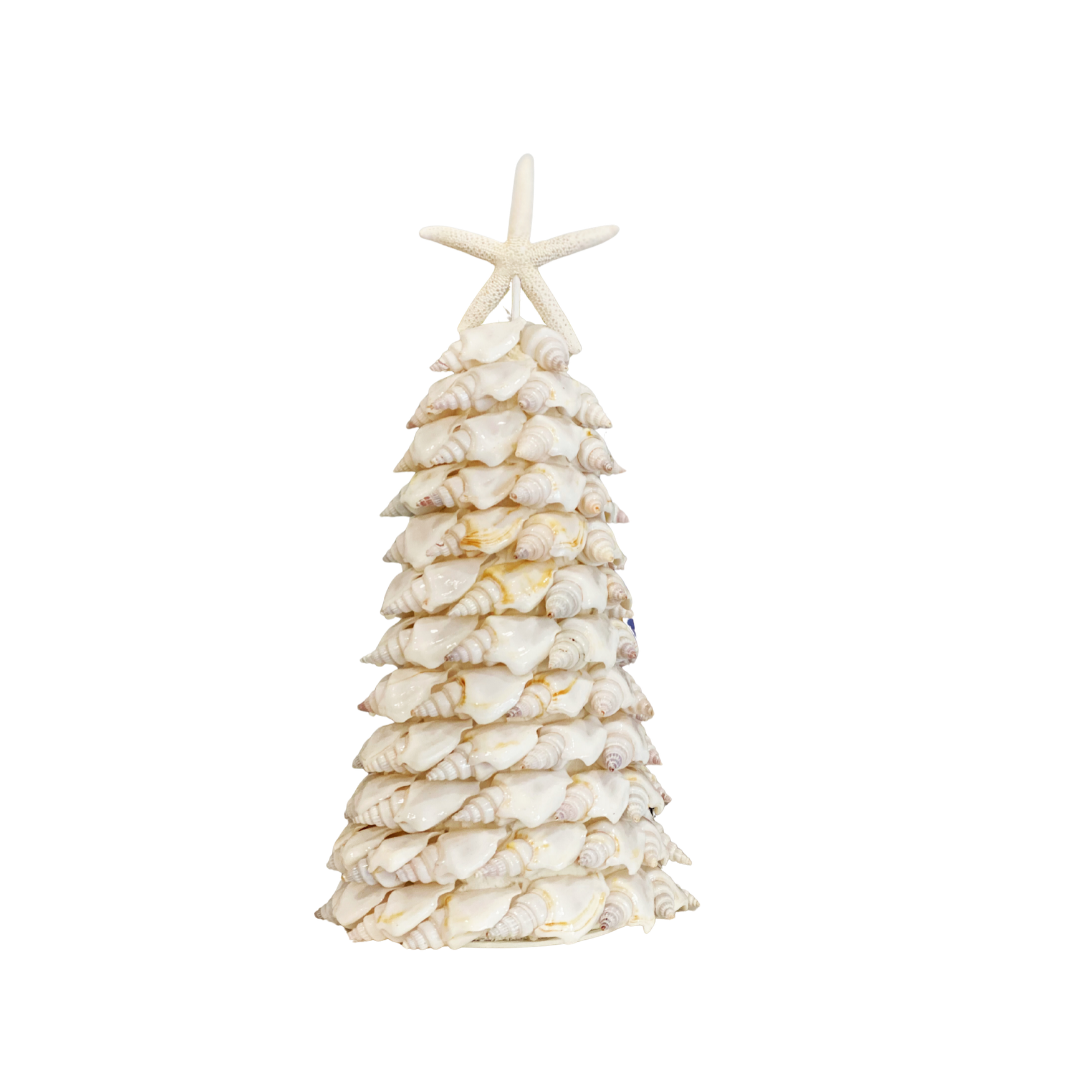 Angel Wing Shell Tree 9"