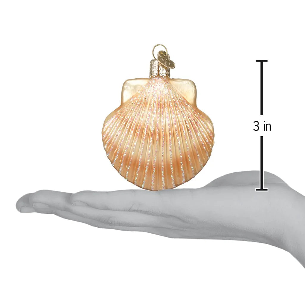 Scallop Shell Ornament