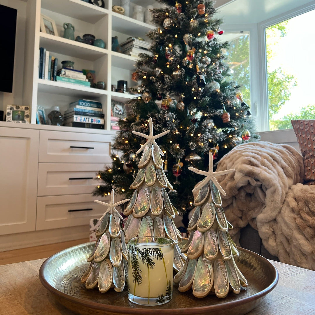 Silver Abalone Tree