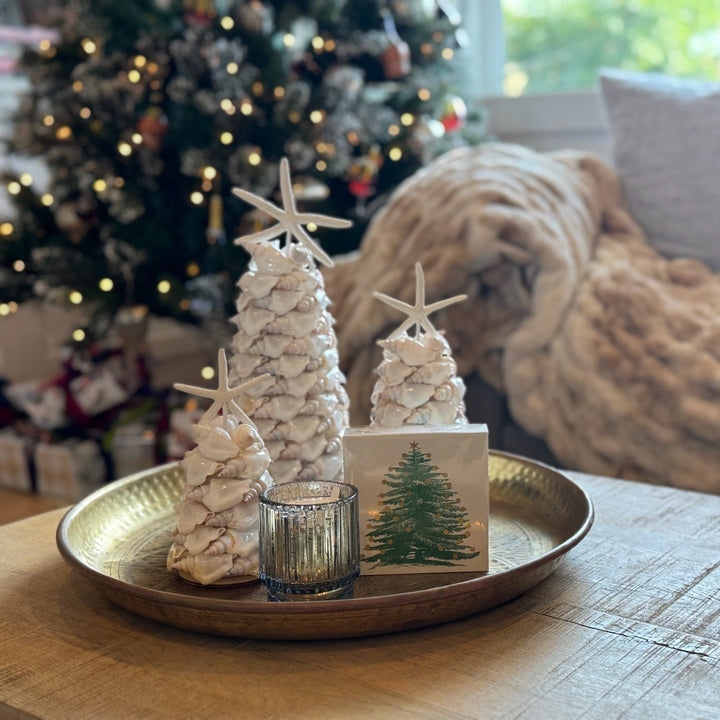 Angel Wing Shell Tree 6"