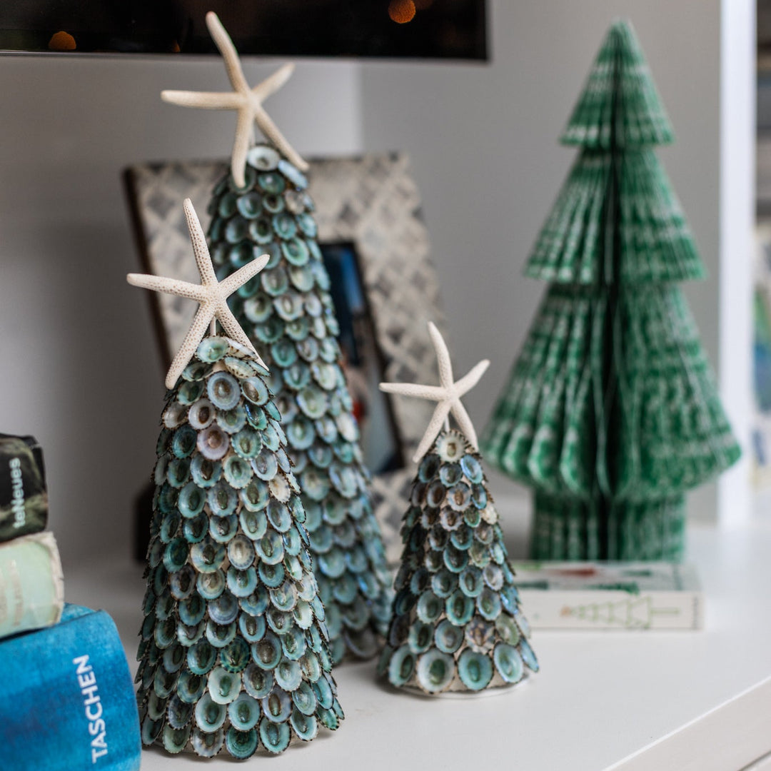 Blue Limpet Tree