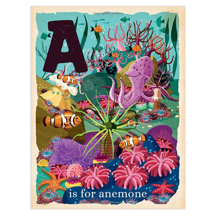 O Is for Ocean