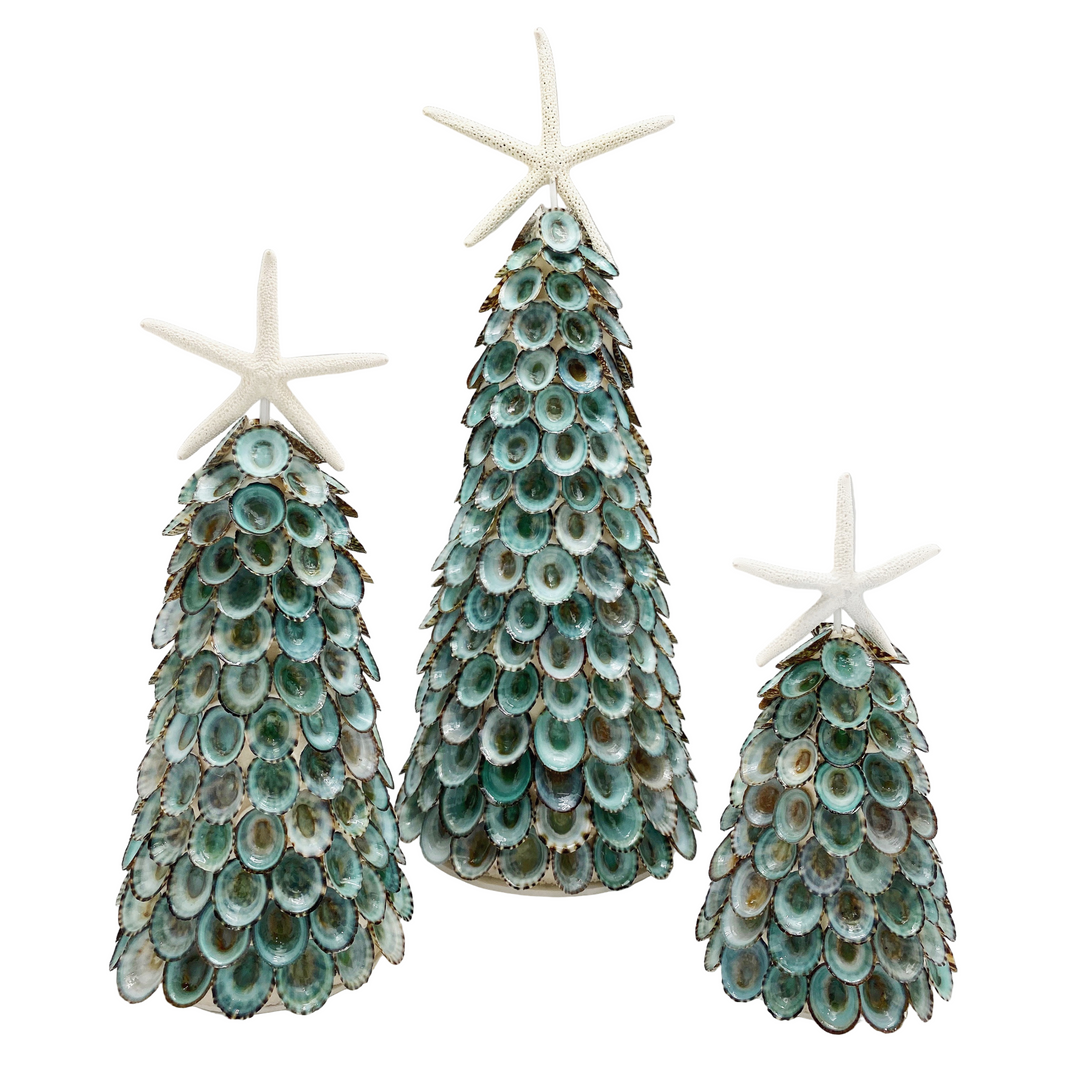 Blue Limpet Tree