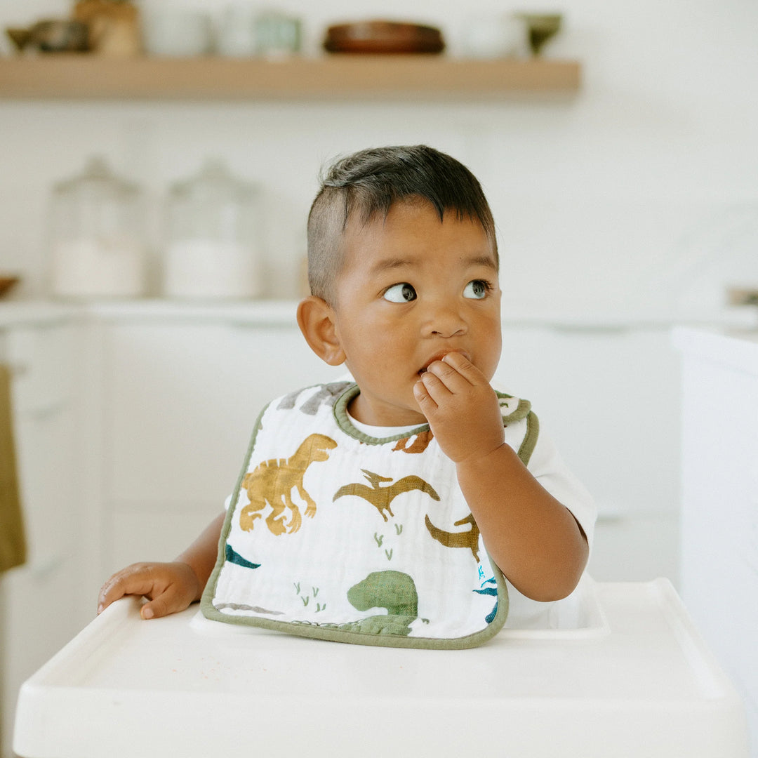 Cotton Muslin Bib 3 Pack - Dino Friends