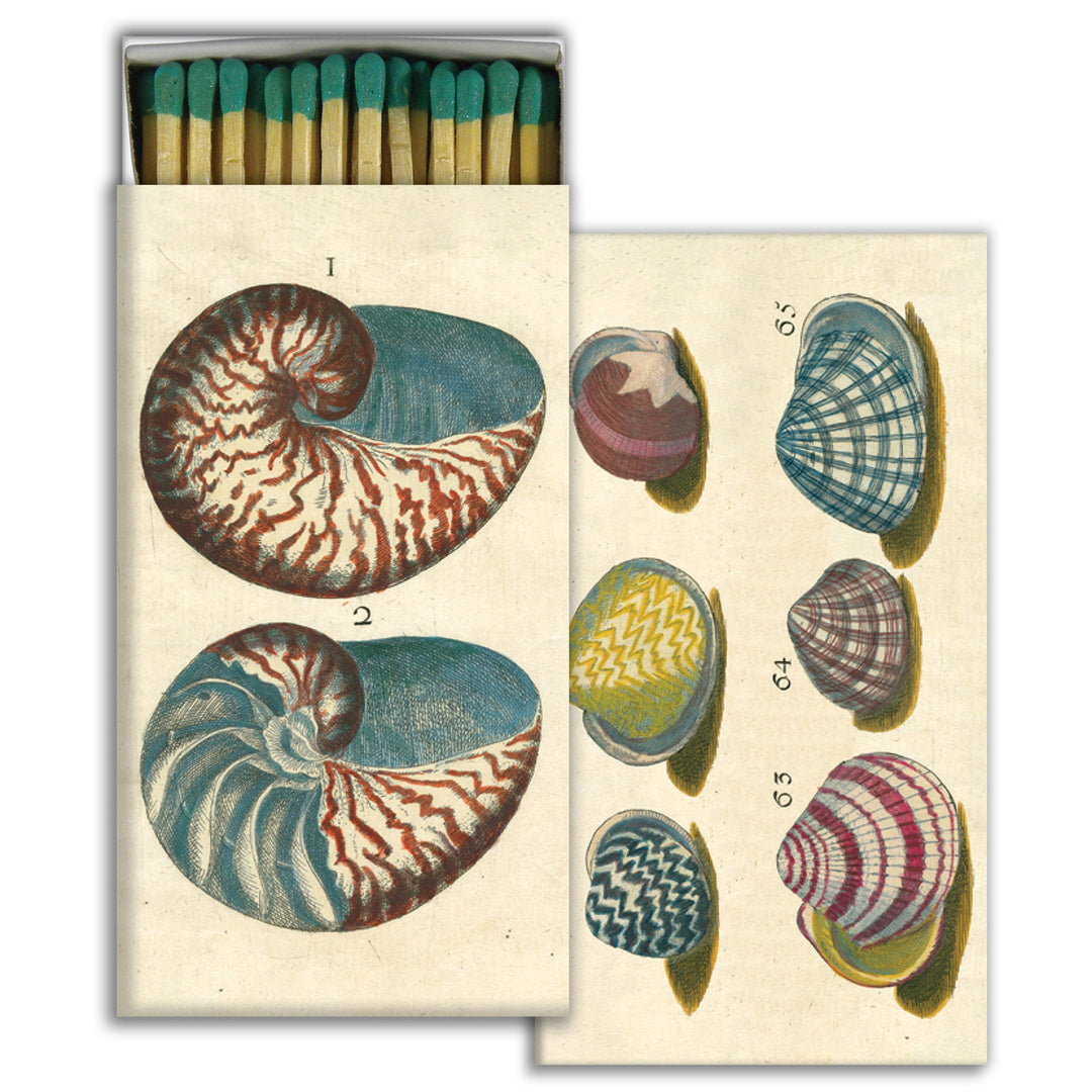 Matches - 18th Century Shells