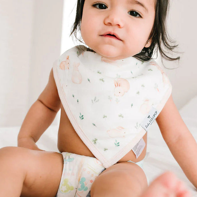 Bandana Bib Set - Bunny Meadow