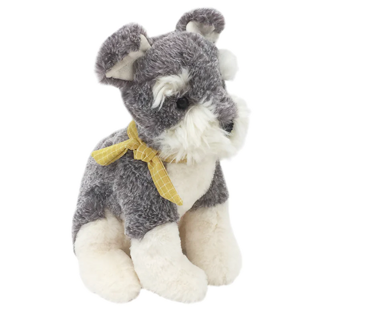 Winston the Gray Schnauzer