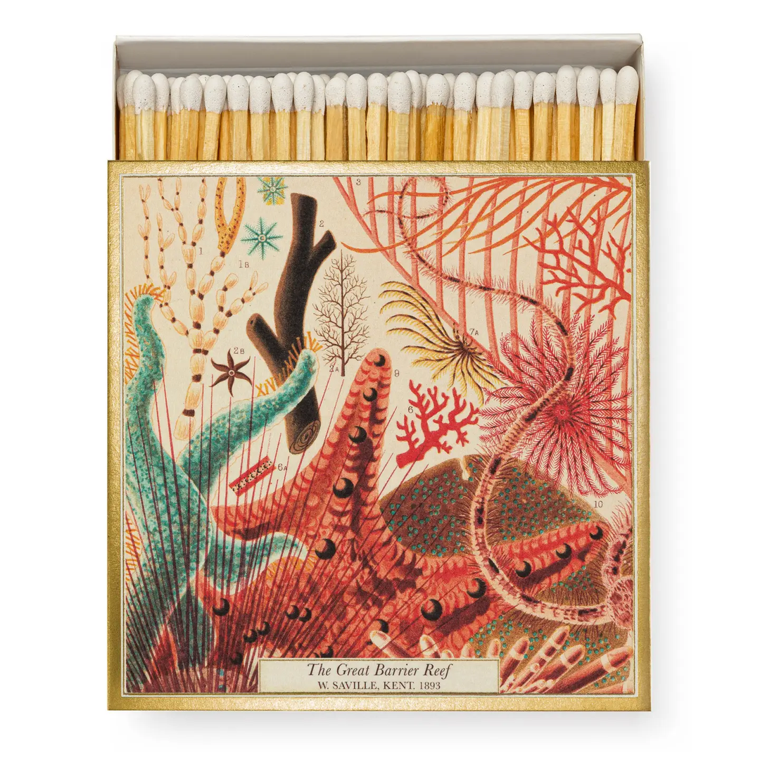 Great Barrier Reef Safety Matches