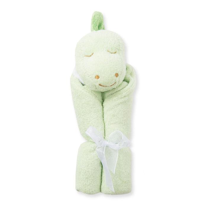 Dino Blankie