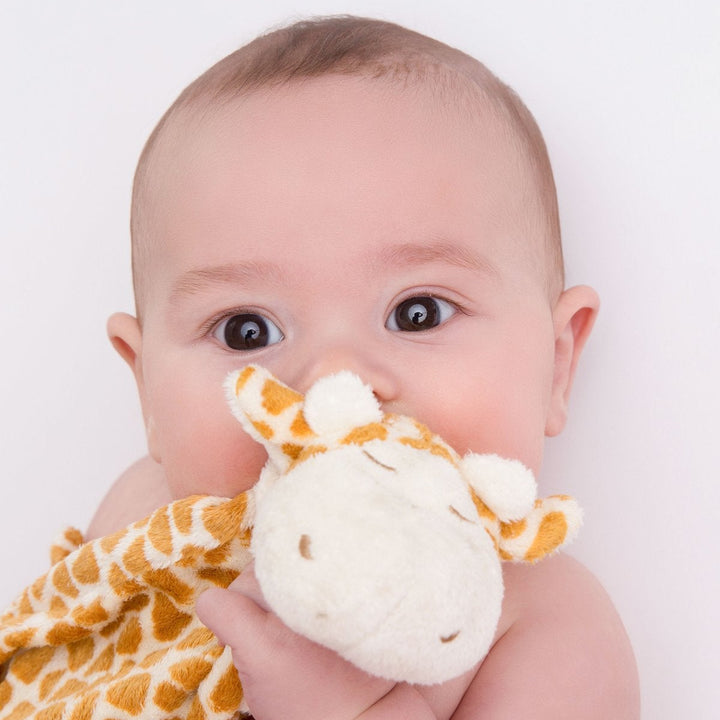Giraffe Blankie