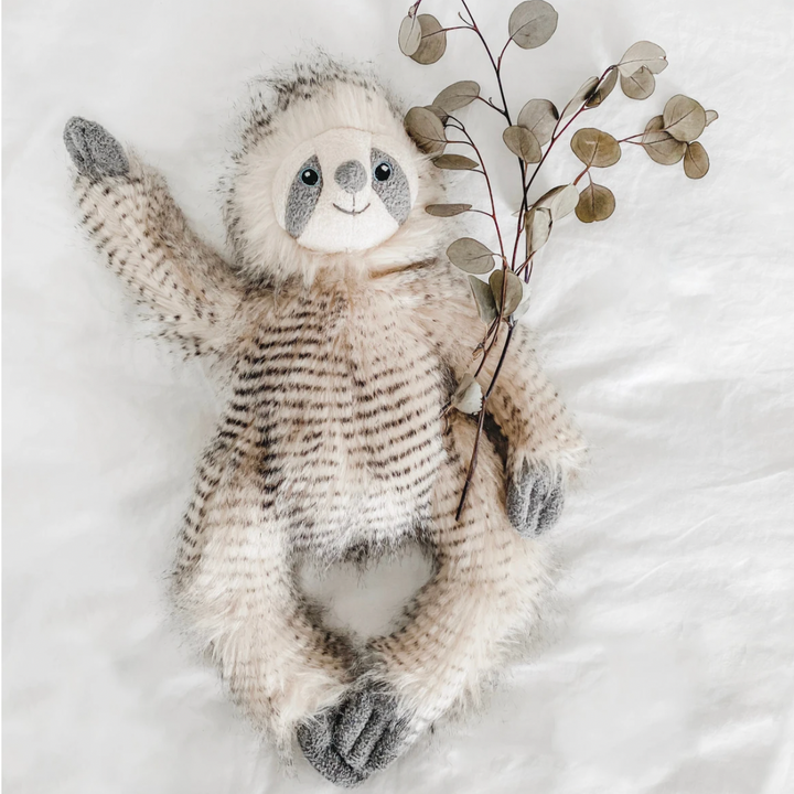 Simon The Sloth