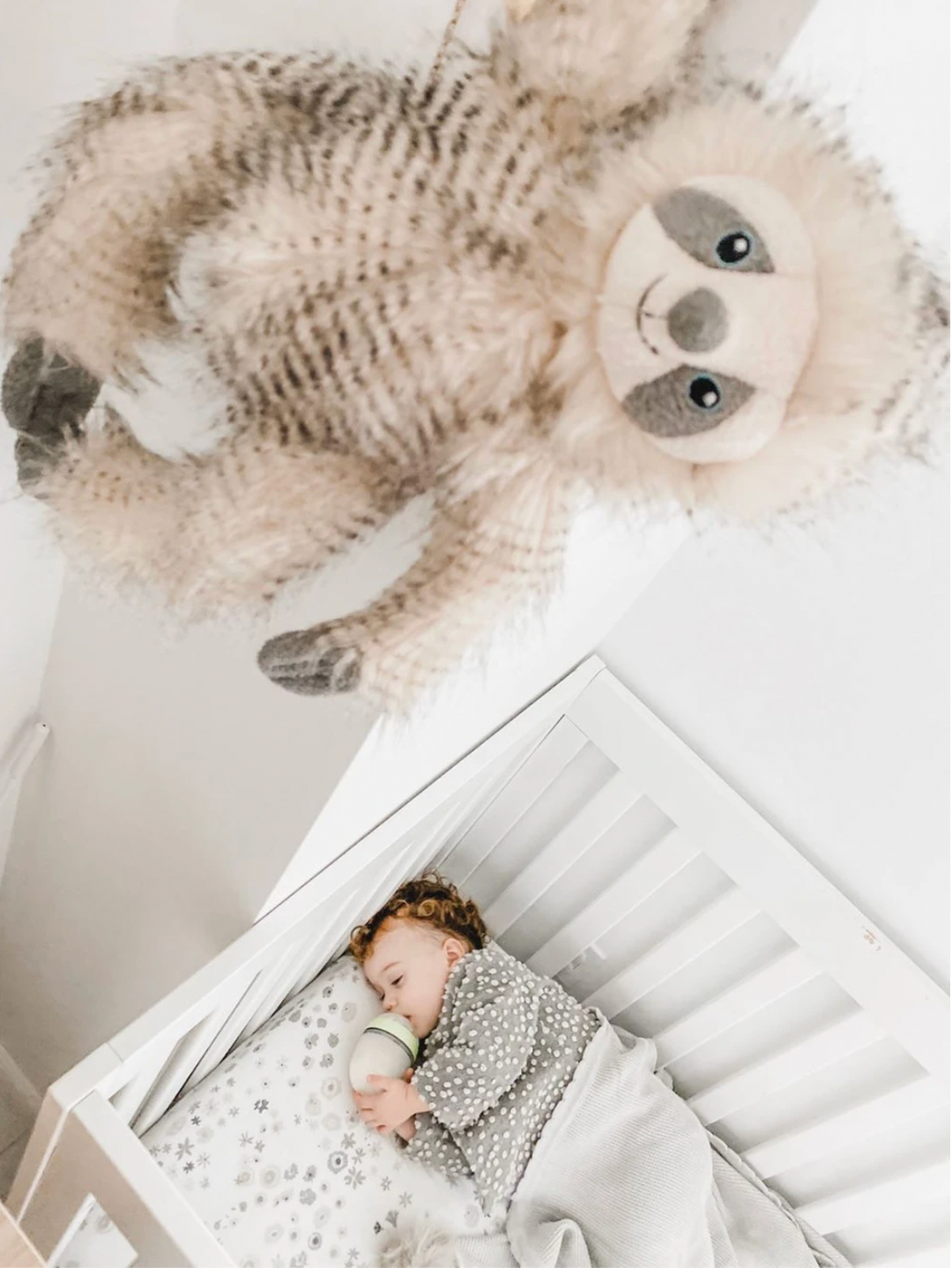 Simon The Sloth