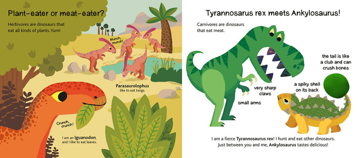 Dinosaurs Touch and Explore