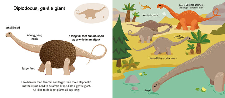 Dinosaurs Touch and Explore