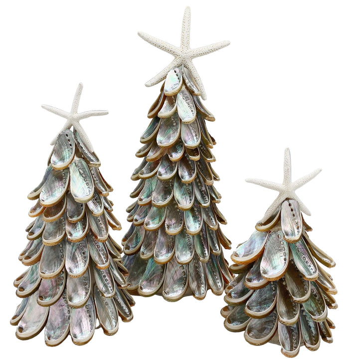 Silver Abalone Tree